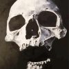 Decay skull dark Diamond Paintings