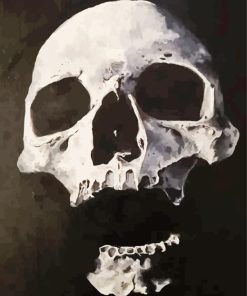 Decay skull dark Diamond Paintings