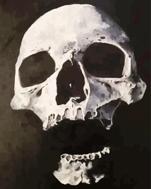 Decay skull dark Diamond Paintings