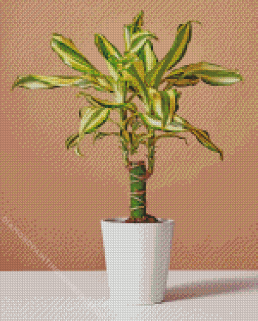 Dracaena Diamond Painting