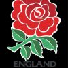 England rugby rose diamond paints