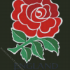 England rugby rose diamond paints