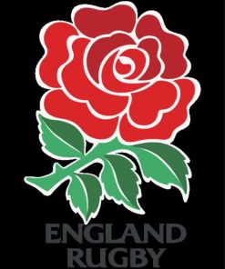 England rugby rose diamond paints