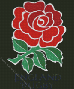 England rugby rose diamond paints