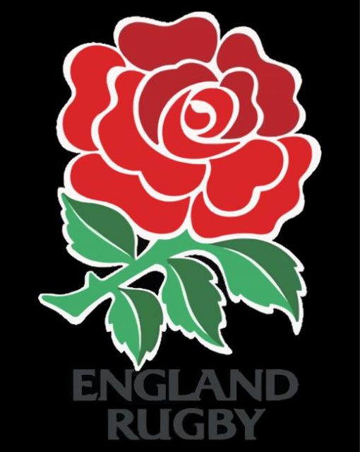 England rugby rose diamond paints