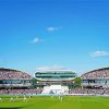 Full Cricket Stadium Diamond Paintings