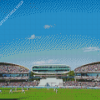 Full Cricket Stadium Diamond Paintings