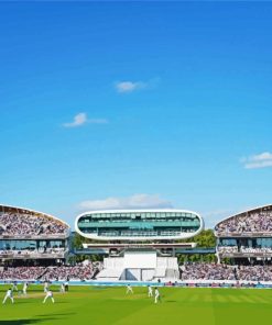 Full Cricket Stadium Diamond Paintings