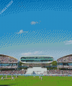 Full Cricket Stadium Diamond Paintings