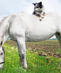 Grey Horse with mini Aussie Diamond Dotz