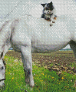 Grey Horse with mini Aussie Diamond Dotz