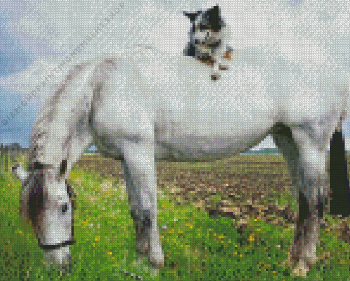 Grey Horse with mini Aussie Diamond Dotz