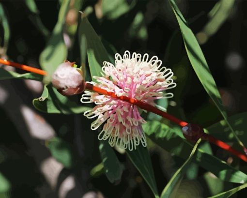 Hakea Plant Diamond Painting