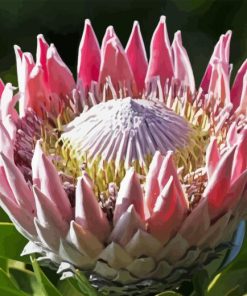 King Protea Diamond Painting