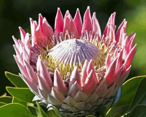 King Protea Diamond Painting