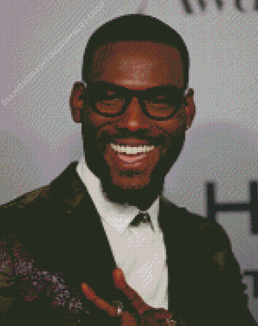 Kofi Siriboe Actor Diamond Painting