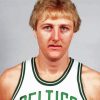 Larry bird Diamond By Numbers