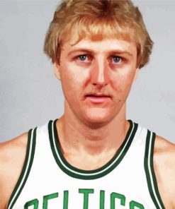 Larry bird Diamond By Numbers