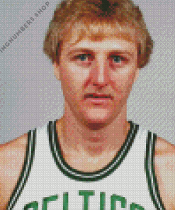 Larry bird Diamond By Numbers