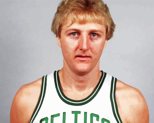 Larry bird Diamond By Numbers