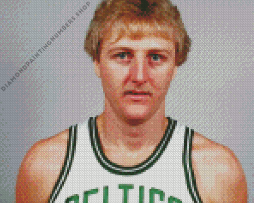 Larry bird Diamond By Numbers