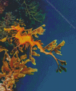 Leafy Seadragon Diamond Painting