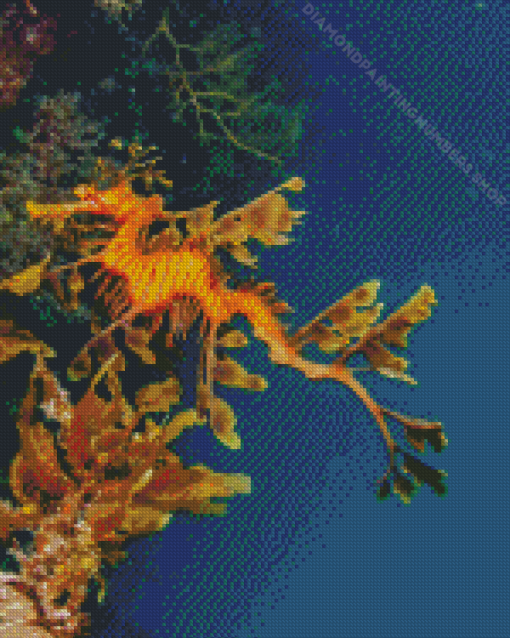 Leafy Seadragon Diamond Painting