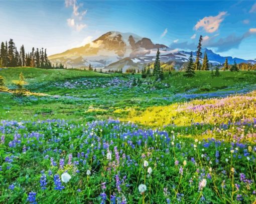 Meadow with flowers and snowy mountain Diamond Paints