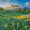 Meadow with flowers and snowy mountain Diamond Paints