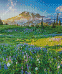 Meadow with flowers and snowy mountain Diamond Paints