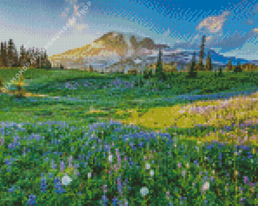 Meadow with flowers and snowy mountain Diamond Paints