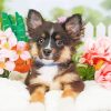 Mini Aussie Puppy With Flowers Diamond Dotz