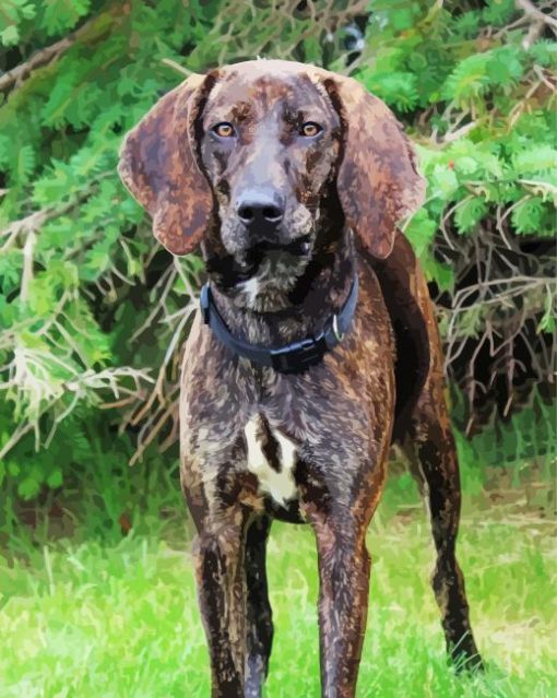 Plott Hound dog Diamond Dotz