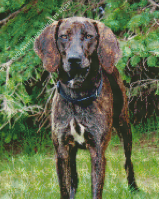 Plott Hound dog Diamond Dotz