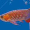 Red Asian Arowana Diamond Painting