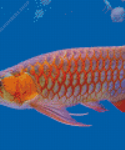 Red Asian Arowana Diamond Painting