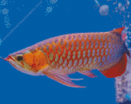 Red Asian Arowana Diamond Painting