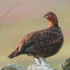 Red Grouse Diamond Painting