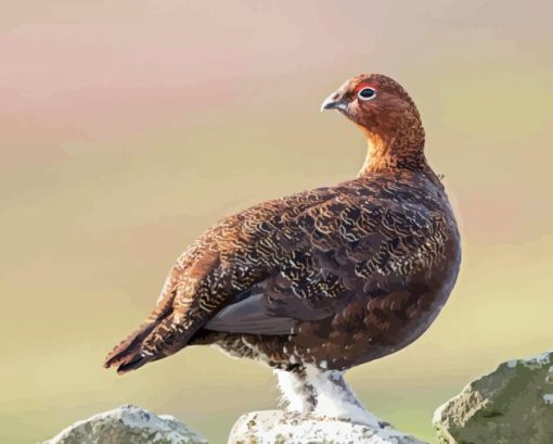 Red Grouse Diamond Painting