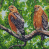 Red Shouldered Hawk Birds Diamond Painting