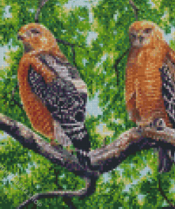 Red Shouldered Hawk Birds Diamond Painting