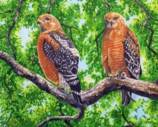 Red Shouldered Hawk Birds Diamond Painting