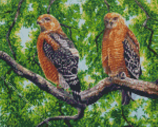 Red Shouldered Hawk Birds Diamond Painting