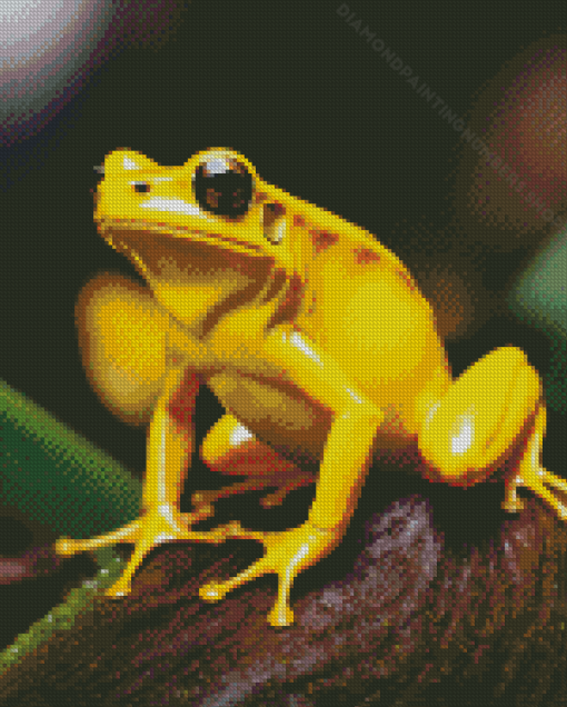 The Golden Poison Dart Frog Diamond Painting