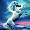 White Stallion Horse Diamond Painting