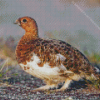 Willow Ptarmigan Diamond Painting