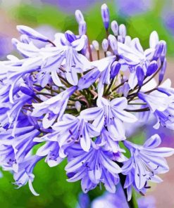 Agapanthus Diamond Painting