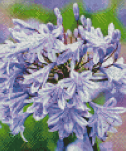 Agapanthus Diamond Painting