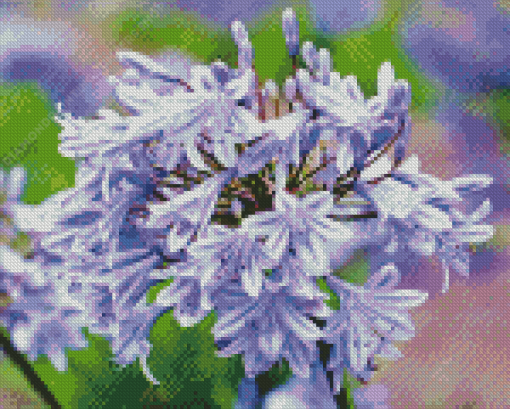 Agapanthus Diamond Painting