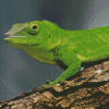 Anolis Garmani Reptile Diamond Painting